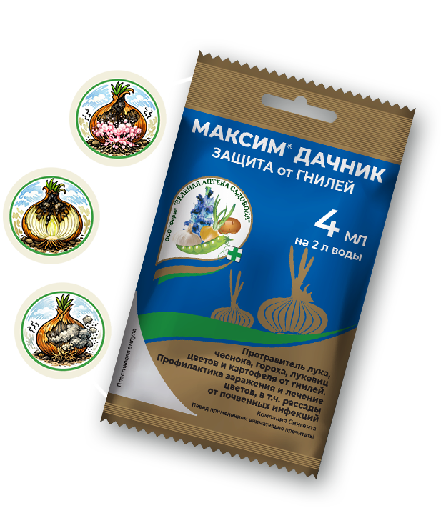 МАКСИМ ДАЧНИК – меньше гнили,  больше чеснока!
