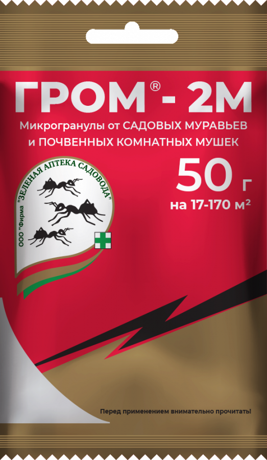 ГРОМ-2М